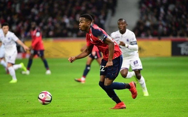 罗迪克在一 罗迪克在一