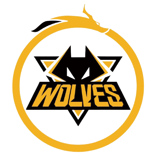 阿根廷队用 阿根廷队用