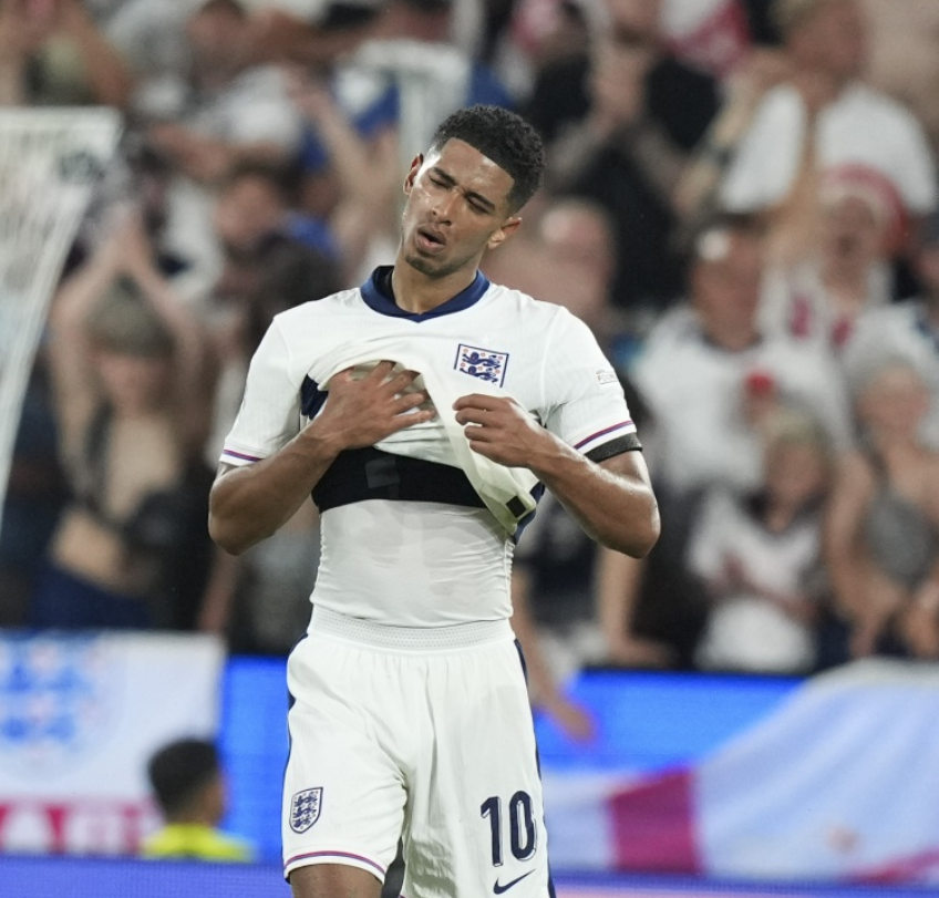 拥有丰富的 拥有丰富的